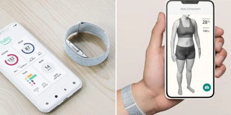 Democratizing Art: How Digital Tools Are Making Creativity Accessible to All