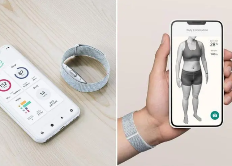 Democratizing Art: How Digital Tools Are Making Creativity Accessible to All