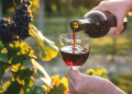 Discover Total Wine & More: America’s Ultimate Destination for Wine, Spirits, and Beer Enthusiasts
