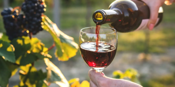 Discover Total Wine & More: America’s Ultimate Destination for Wine, Spirits, and Beer Enthusiasts