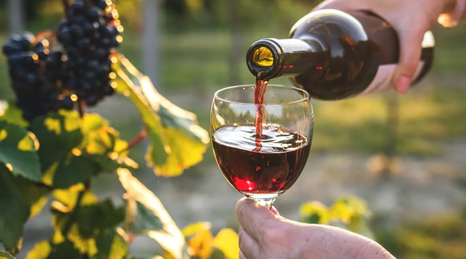 Discover Total Wine & More: America’s Ultimate Destination for Wine, Spirits, and Beer Enthusiasts